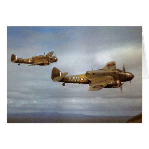 Avions historiques de 2ÈME GUERRE MONDIALE en vol