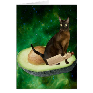 avocado cat