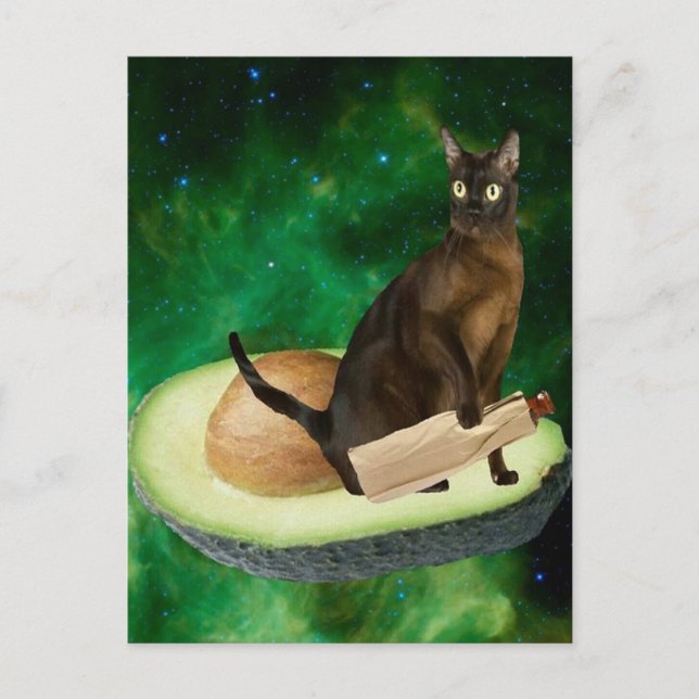 avocado cat postcard (Front)