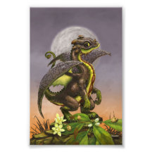 Avocado Dragon 4x6 Print