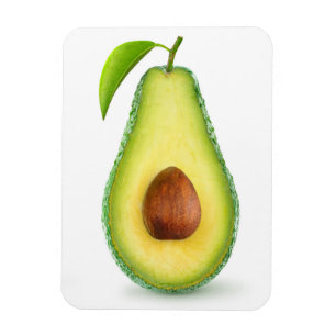 Avocado half magnet