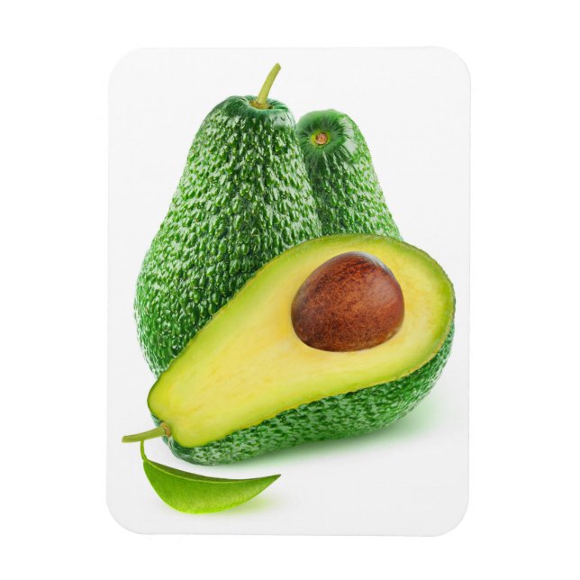 Avocado Magnet (Vertical)