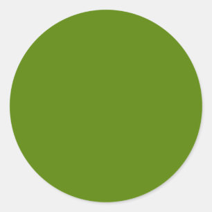 Avocado (solid colour) classic round sticker