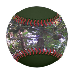 Avocado Tree Baseball