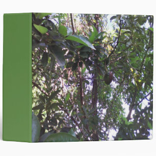 Avocado Tree Binder