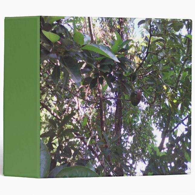 Avocado Tree Binder (Front/Spine)