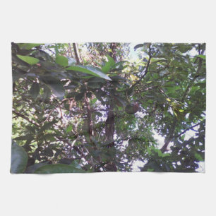 Avocado Tree Kitchen Towel