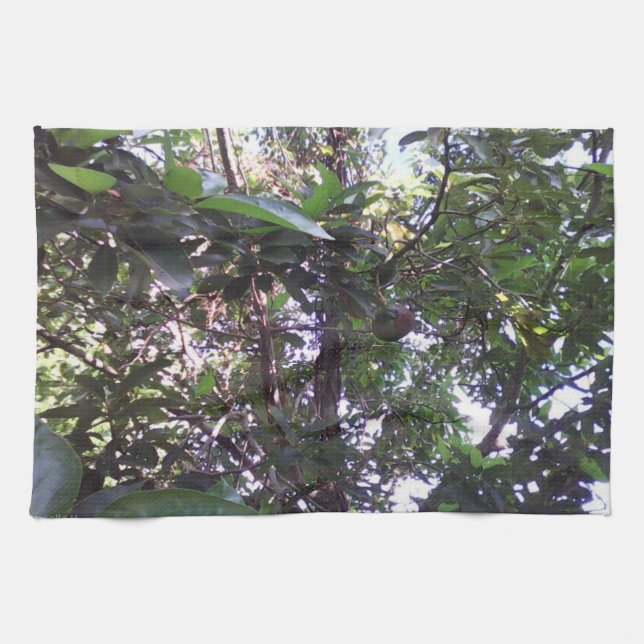 Avocado Tree Kitchen Towel (Horizontal)