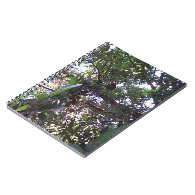Avocado Tree Notebook (Left Side)