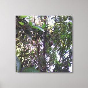 Avocado Tree - Olive green trim Canvas Print