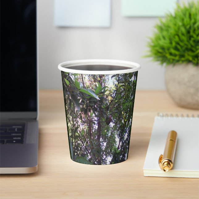 Avocado Tree Paper Cups (Insitu)