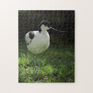 Avocet Jigsaw Puzzle