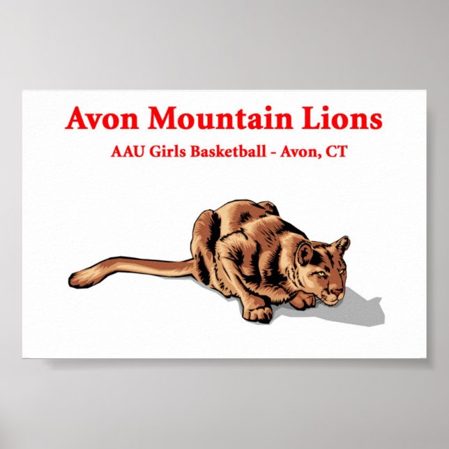 Avon Mountain Lions - Basketball Club Poster (Front)