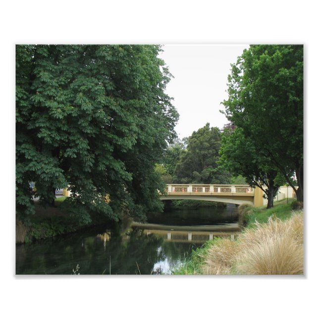 Avon River Christchurch Photo Print (Front)
