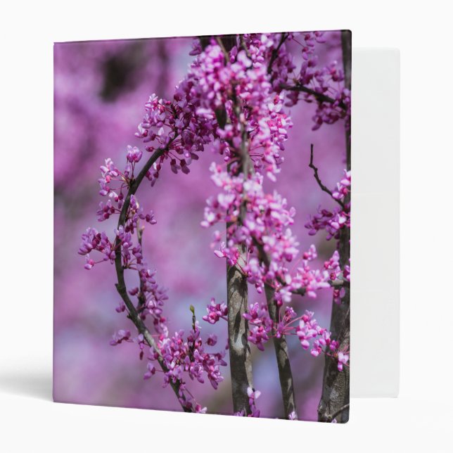 Avondale Redbud Art Binder (Front/Inside)