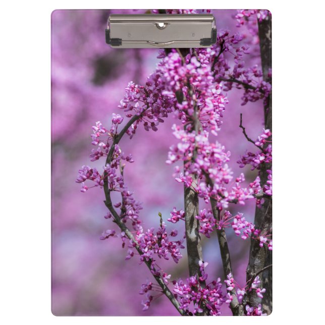 Avondale Redbud Art Clipboard (Front)