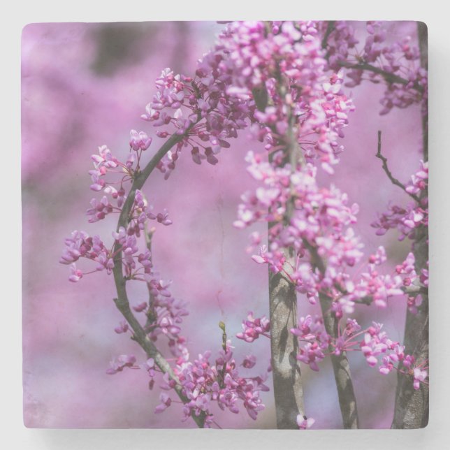 Avondale Redbud Art Stone Coaster (Front)