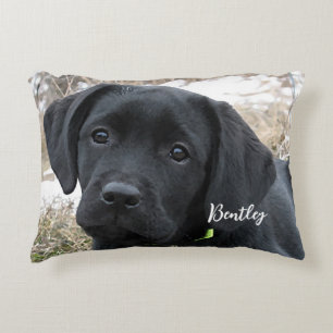 Awaiting Spring - Black Lab Accent Pillow
