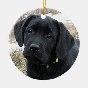 Awaiting Spring - Labrador Puppy - Black Lab Ceramic Ornament