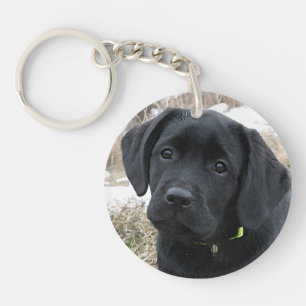 Awaiting Spring - Labrador Puppy - Black Lab Keychain
