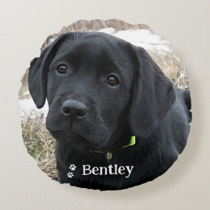 Awaiting Spring - Labrador Puppy - Black Lab Round Pillow