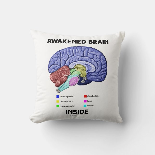 Awakened Brain Inside (Brain Anatomy) Throw Pillow (Front)
