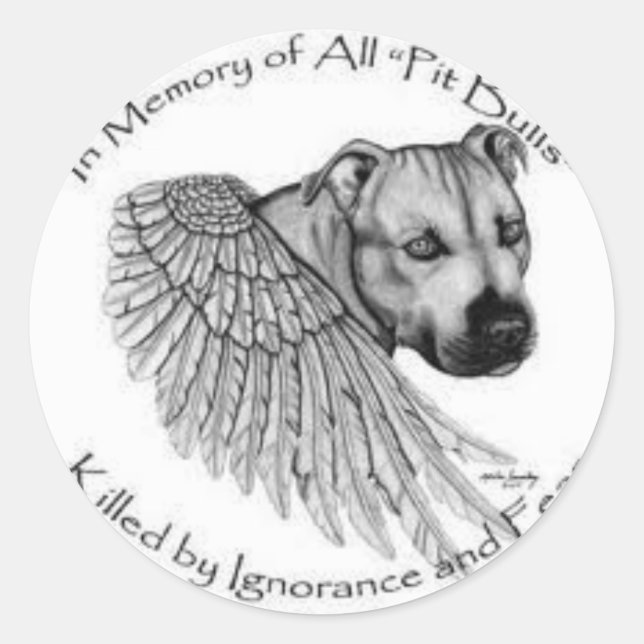 Awareness Classic Round Sticker (Front)