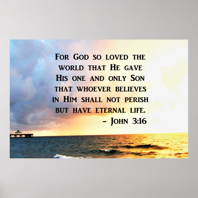 AWE INSPIRING JOHN 3 16 PHOTO DESIGN POSTER (Front)