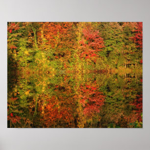 Awesome Autumn Reflections Nature Poster Print