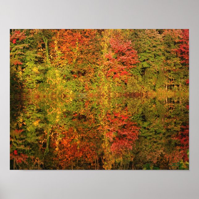 Awesome Autumn Reflections Nature Poster Print (Front)