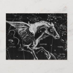 awesome beautiful mystic flying wings horse postcard