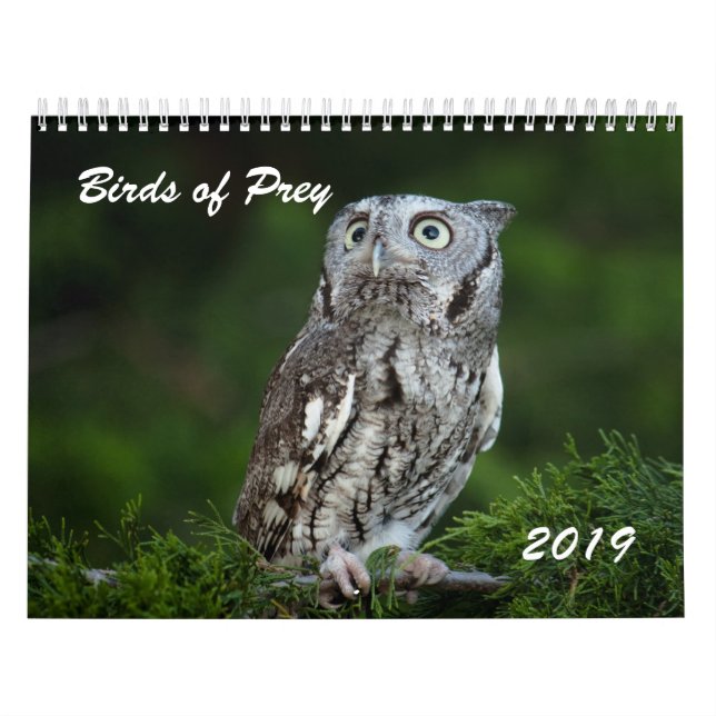 Awesome Birds of Prey 2019 photo calendar (Cover)