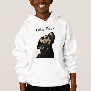 Awesome Black Labrador Retriever