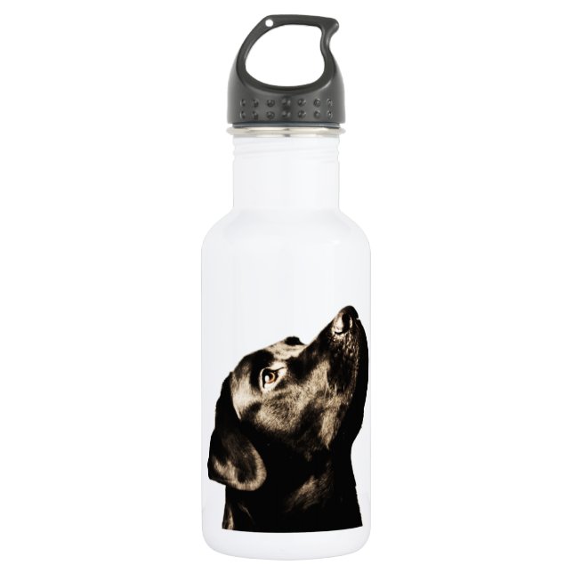 Awesome Black Labrador Retriever 532 Ml Water Bottle (Front)