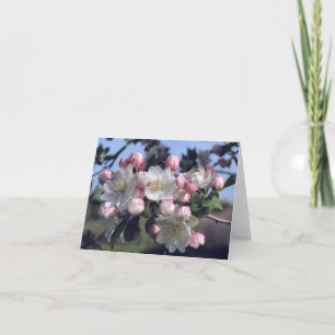 Awesome Blossoms Flower Photography  Note Card