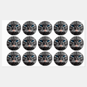 Awesome Blue Eyed Cat Face