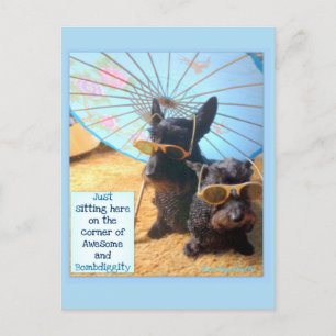 Awesome & Bombdiggity Post Card