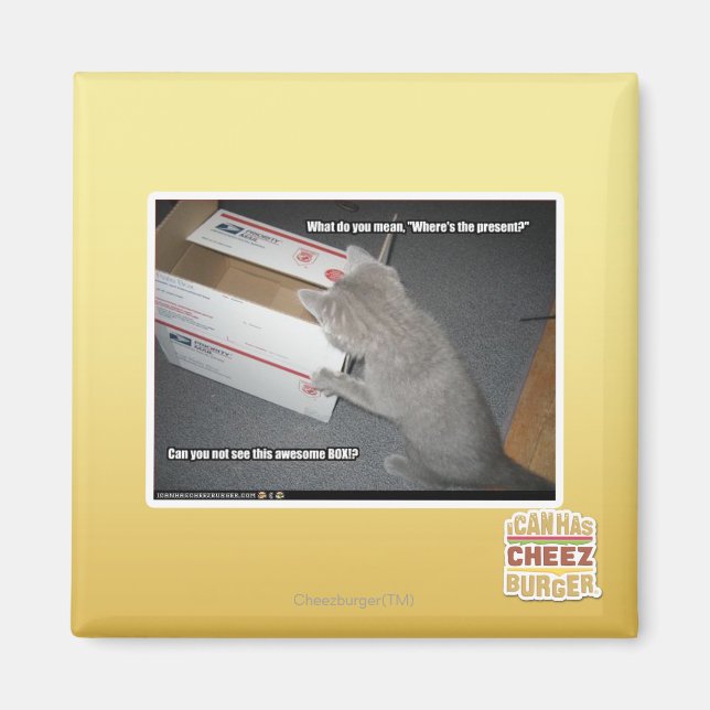Awesome Box Magnet (Front)