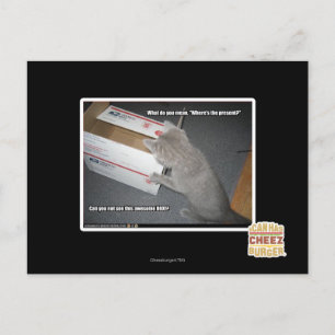 Awesome Box Postcard