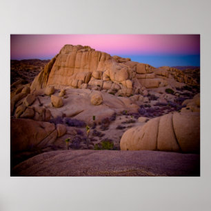 Awesome Desert Sunset Poster