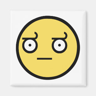 Awesome Disapproval Face Magnet