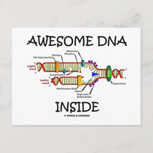 Awesome DNA Inside Postcard