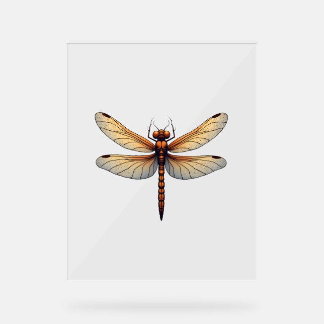 Awesome Dragonfly Costume for Boys and Girls Acrylic Sign (Front)