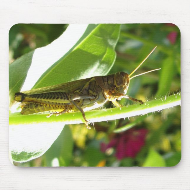 Awesome Grasshopper Mouse Pad (Front)