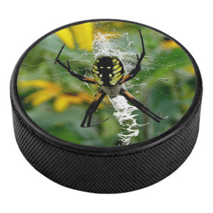 Awesome Photo Orb Spider dans le Web