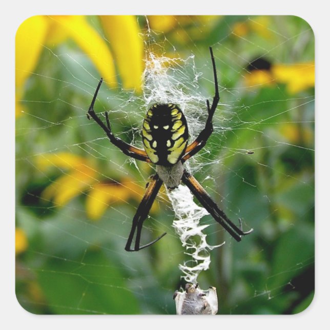 Awesome Photo Orb Spider in Web White Numbers Square Sticker (Front)