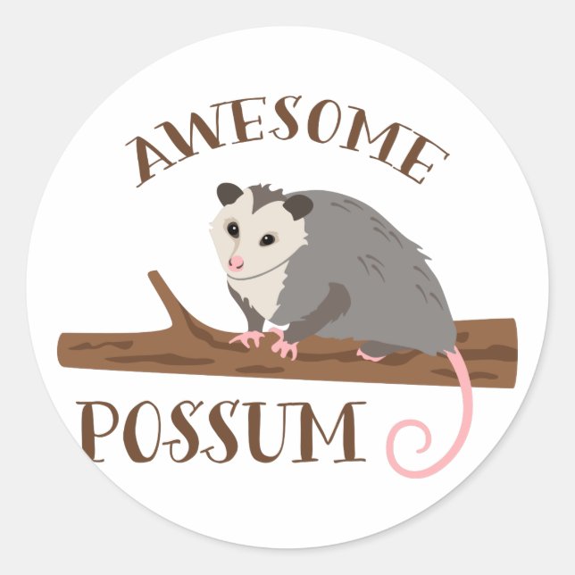 Awesome Possum Classic Round Sticker (Front)