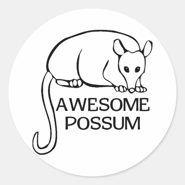 Awesome Possum Classic Round Sticker (Front)