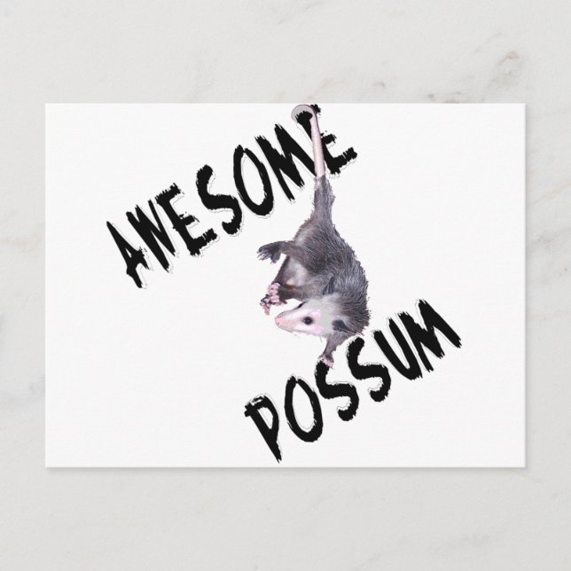 Awesome Possum Opossum Postcard (Front)