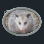 Awesome Possum Oval Belt Buckle<br><div class="desc">Wildlife image features a portrait of a Possum.</div>